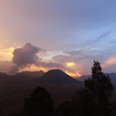 Bromo Holiday Guest House Ngadisari エクステリア 写真