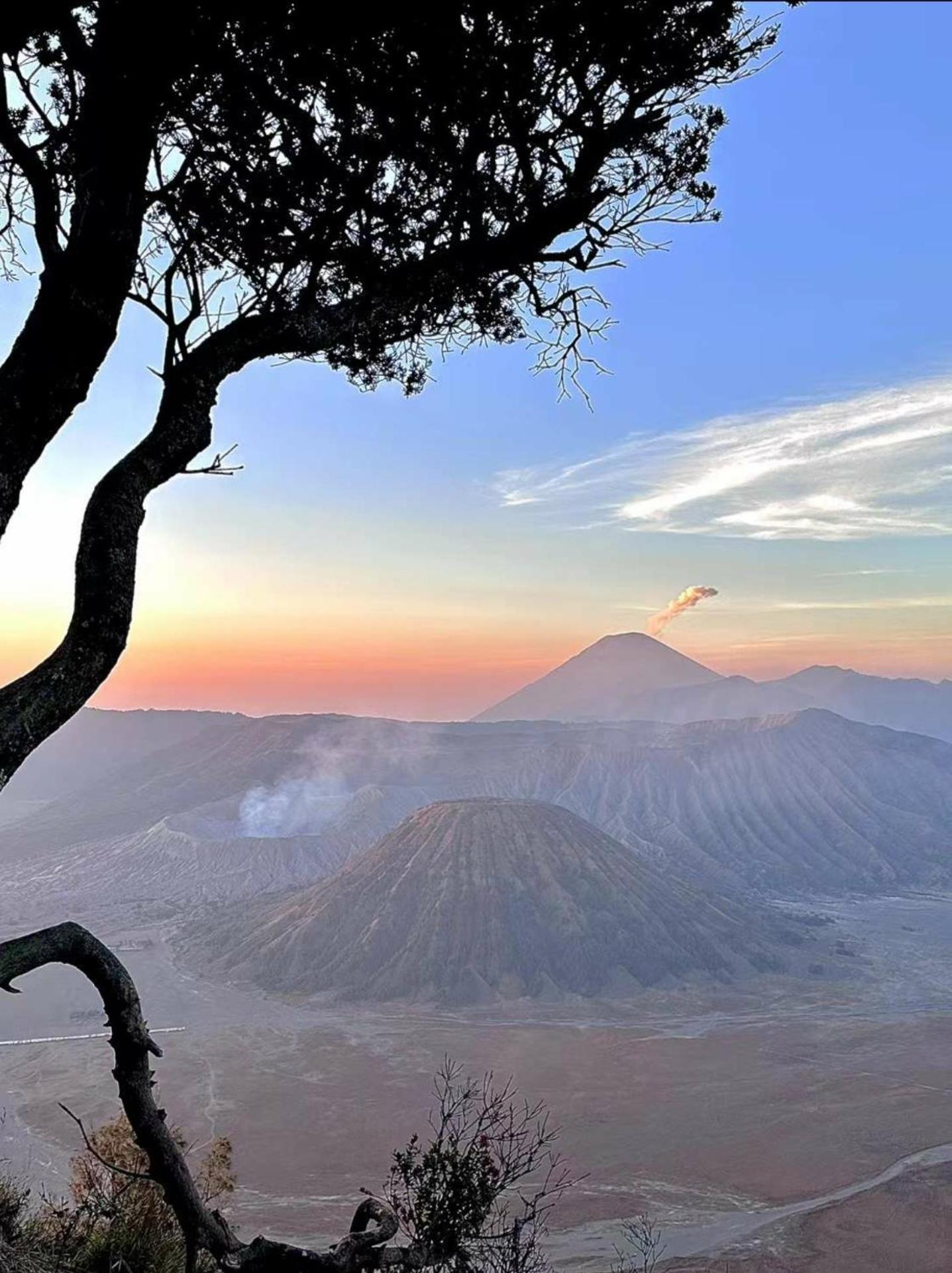Bromo Holiday Guest House Ngadisari エクステリア 写真